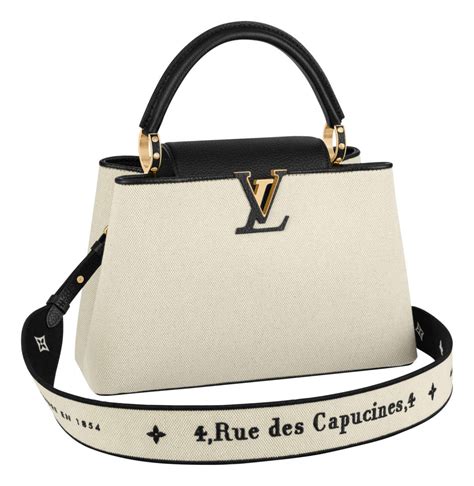 styling lv capucine bag|louis vuitton capucines price euro.